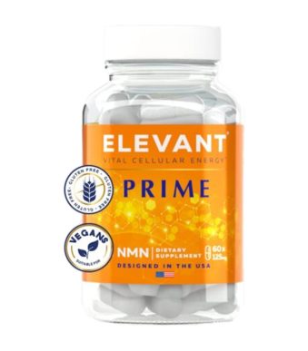 elevant.jpg